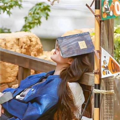 开局就失业：返乡途中卖盒饭